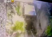 Tragedi Naas Terjadi di Ayutera Resort Ubud Bali!