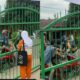 Pulahan Siswa Terlibat Tawuran di Depan SMA 6 Kota Jambi