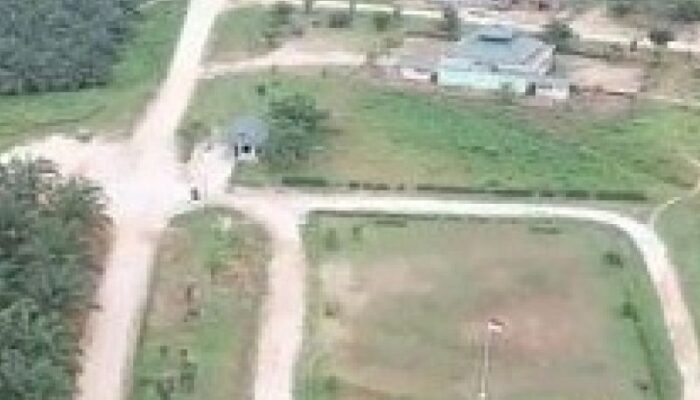 Kejaksaan Tinggi Jambi dinilai tidak bertaji menertibkan kawasan Hutan yang diduga diduduki PT Bukit kausar.